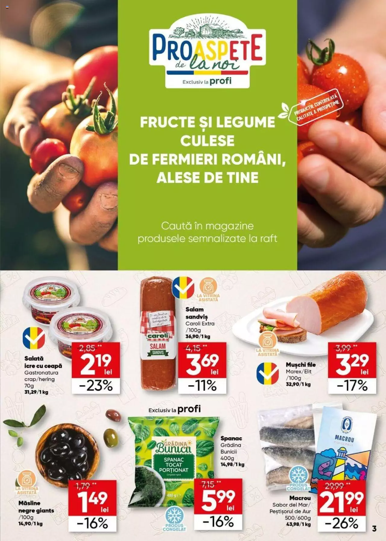 Catalog Profi 28 Iunie - 11 Iulie 2023 | Pagina 3