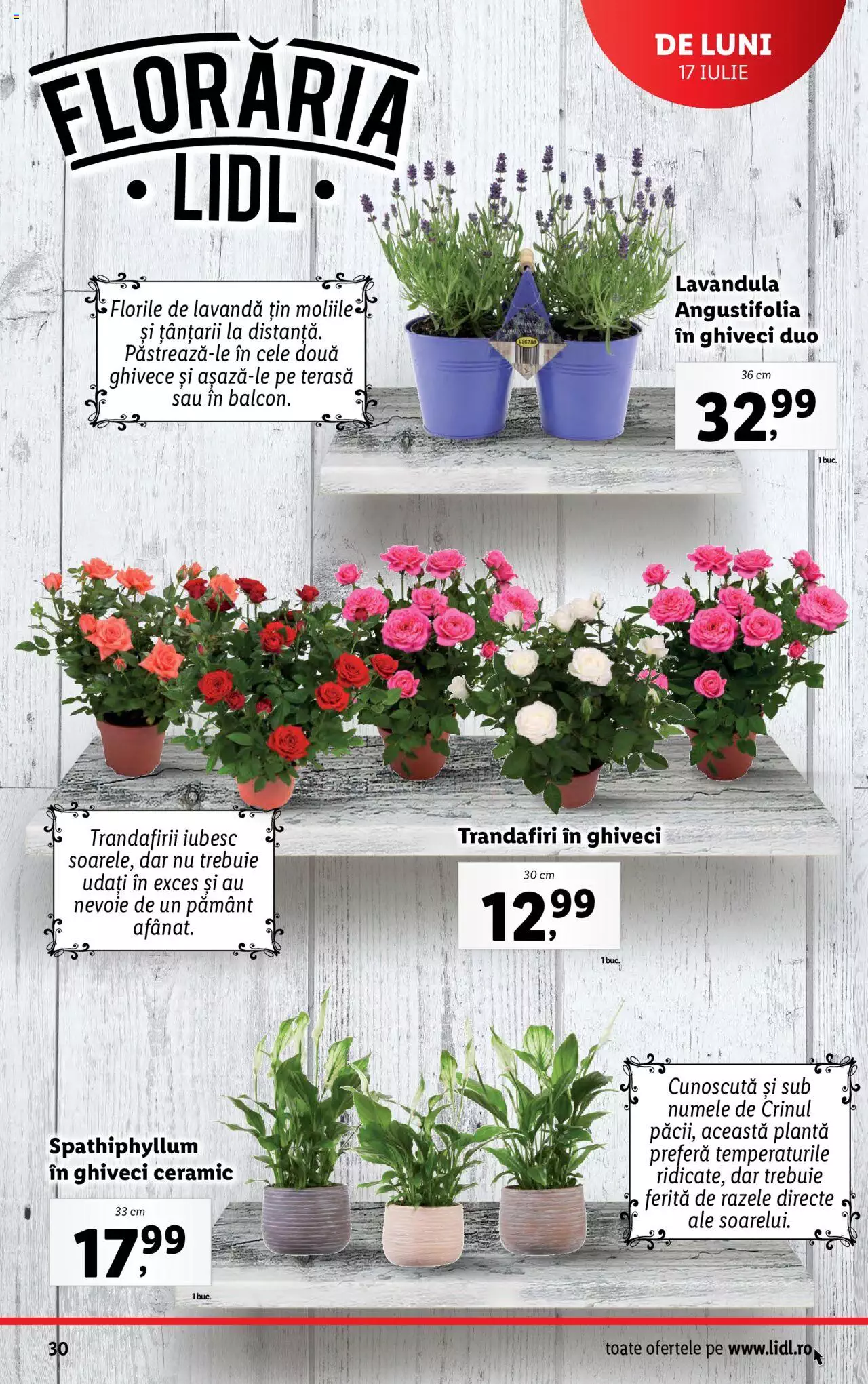 Catalog LIDL 17 - 23 Iulie 2023 | Pagina 30