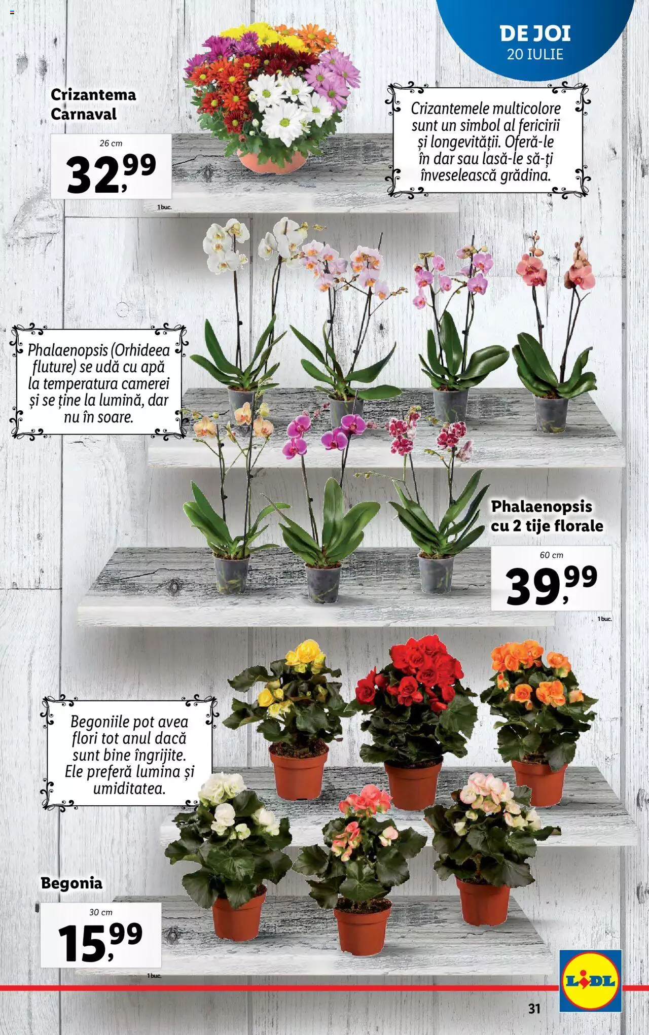 Catalog LIDL 17 - 23 Iulie 2023 | Pagina 31