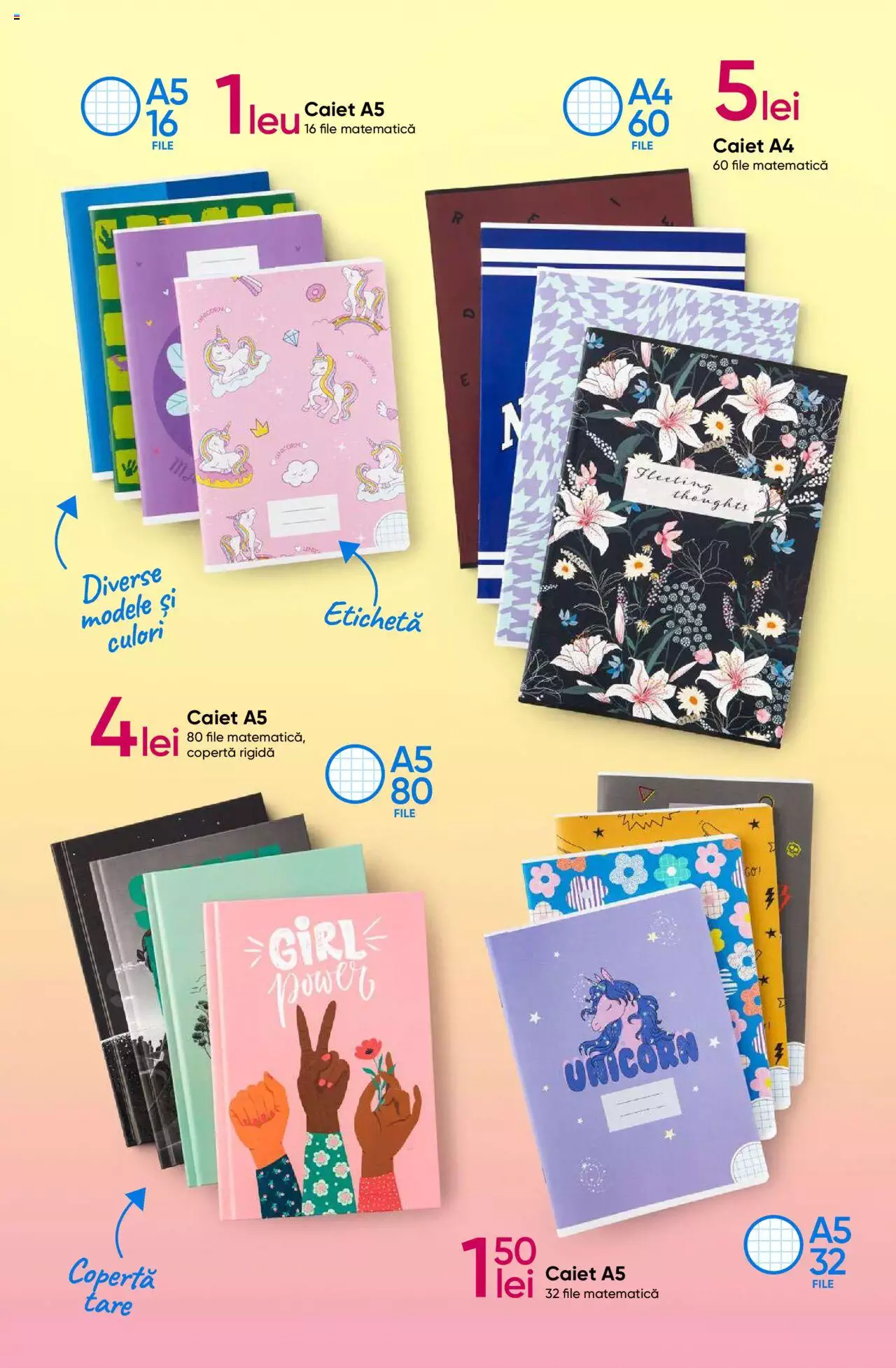 Catalog Pepco 20 Iulie - 31 August 2023 | Pagina 17