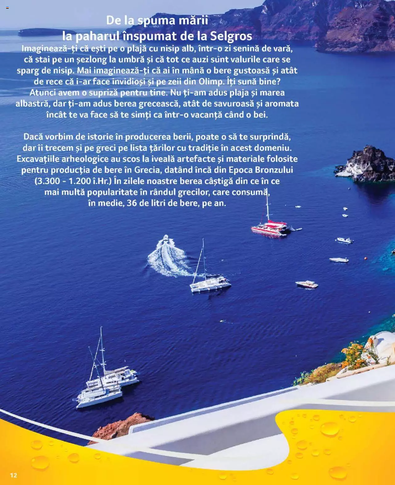 Catalog Selgros 21 Iulie - 3 August 2023 | Pagina 12