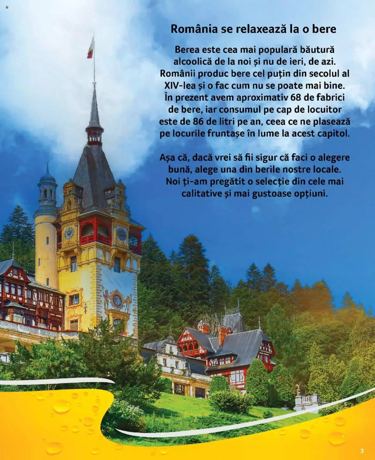 Catalog Selgros 21 Iulie - 3 August 2023 | Pagina 3