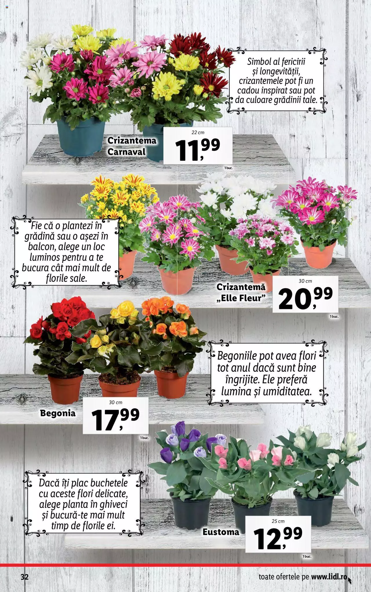 Catalog LIDL 7 - 13 August 2023 | Pagina 32