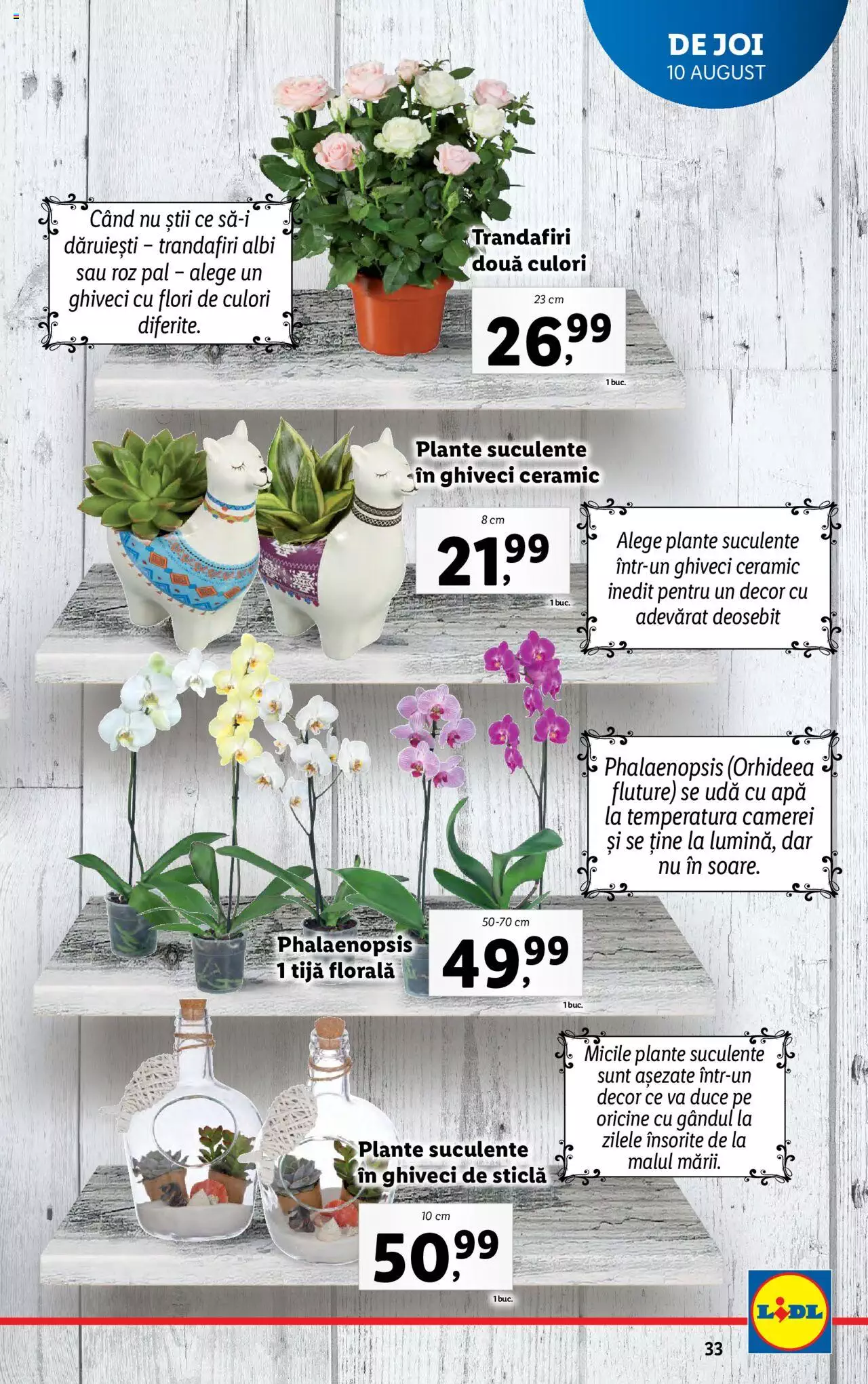 Catalog LIDL 7 - 13 August 2023 | Pagina 33