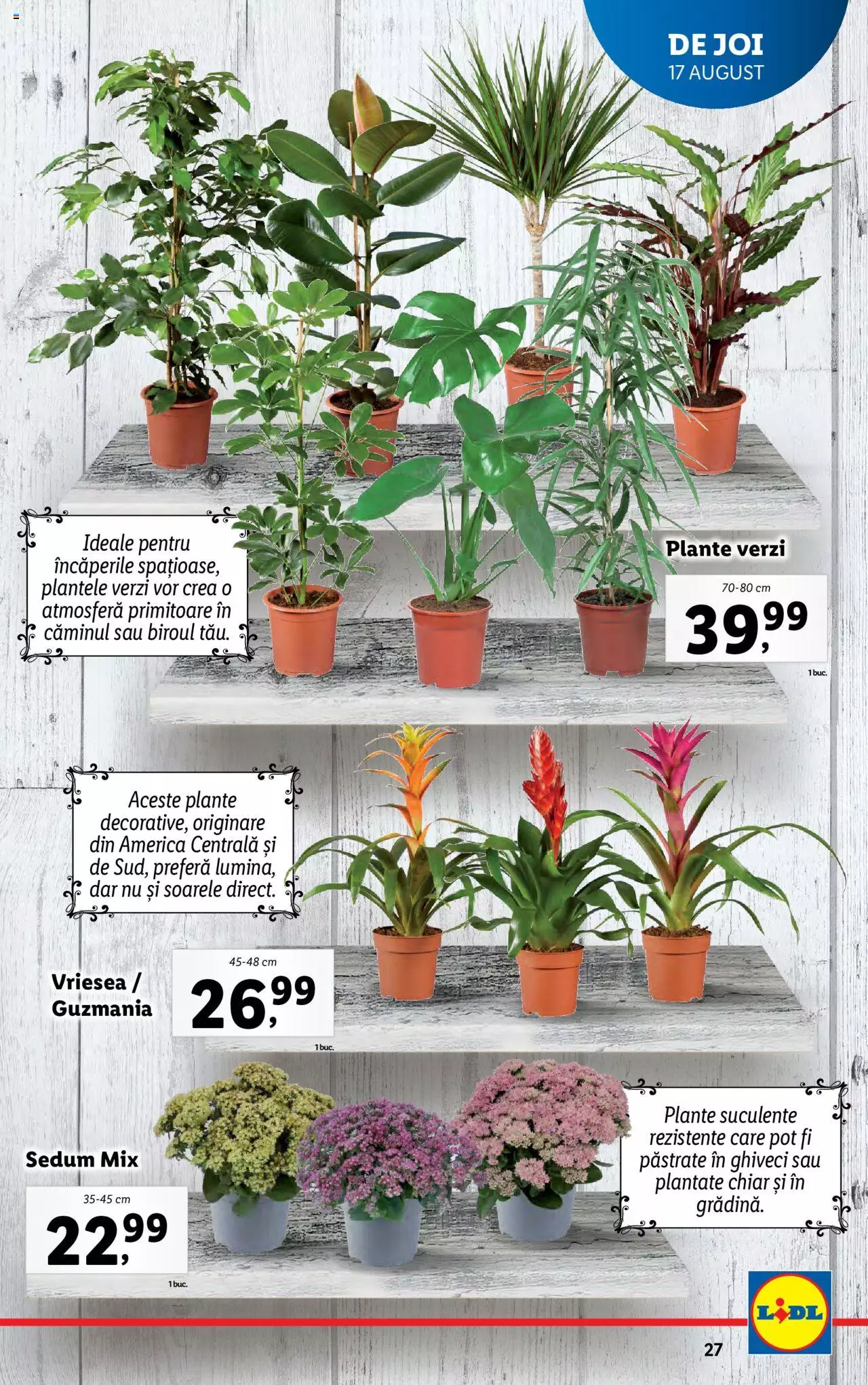 Catalog LIDL 14 - 20 August 2023 | Pagina 27