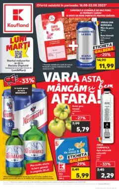 Catalog Kaufland