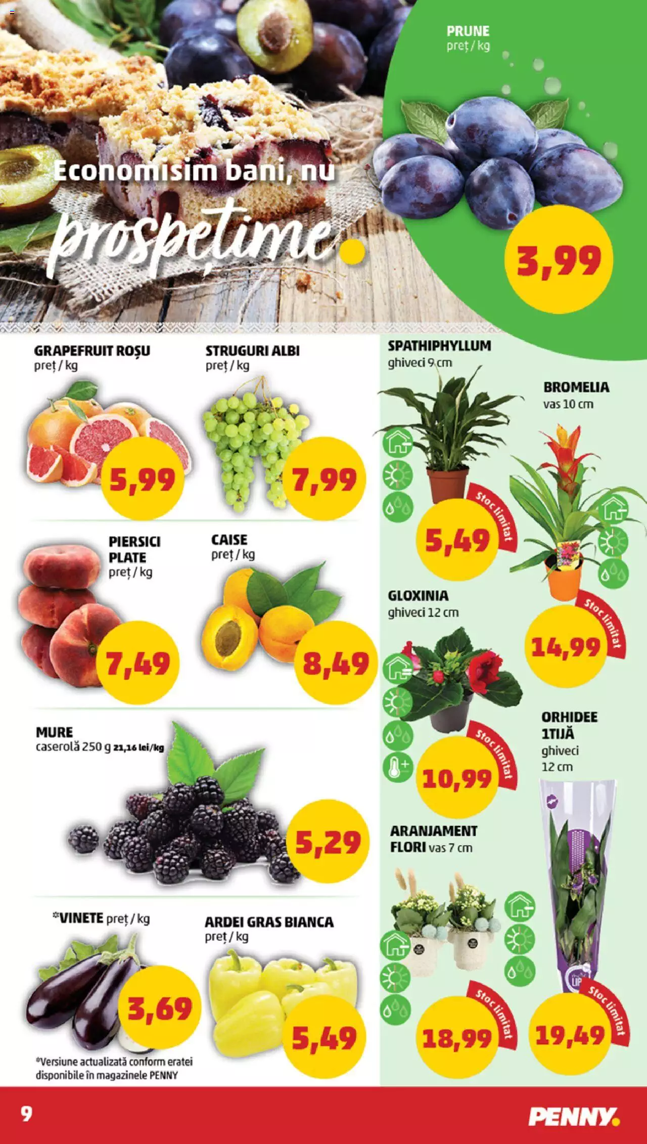 Catalog PENNY Market 9 - 15 August 2023 | Pagina 9