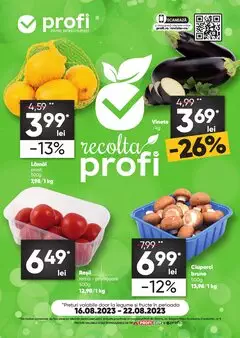Catalog Profi