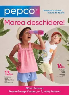 Catalog Pepco