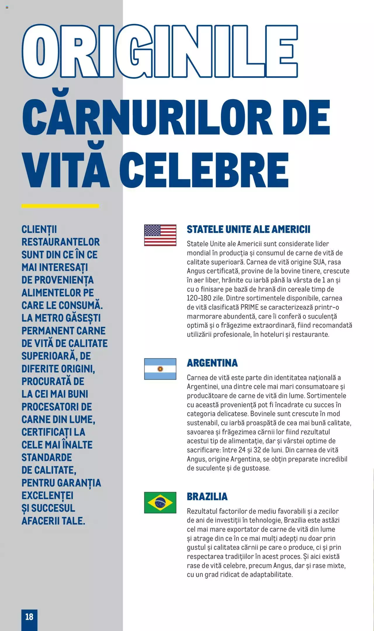 Catalog METRO 1 August - 31 Decembrie 2023 | Pagina 18