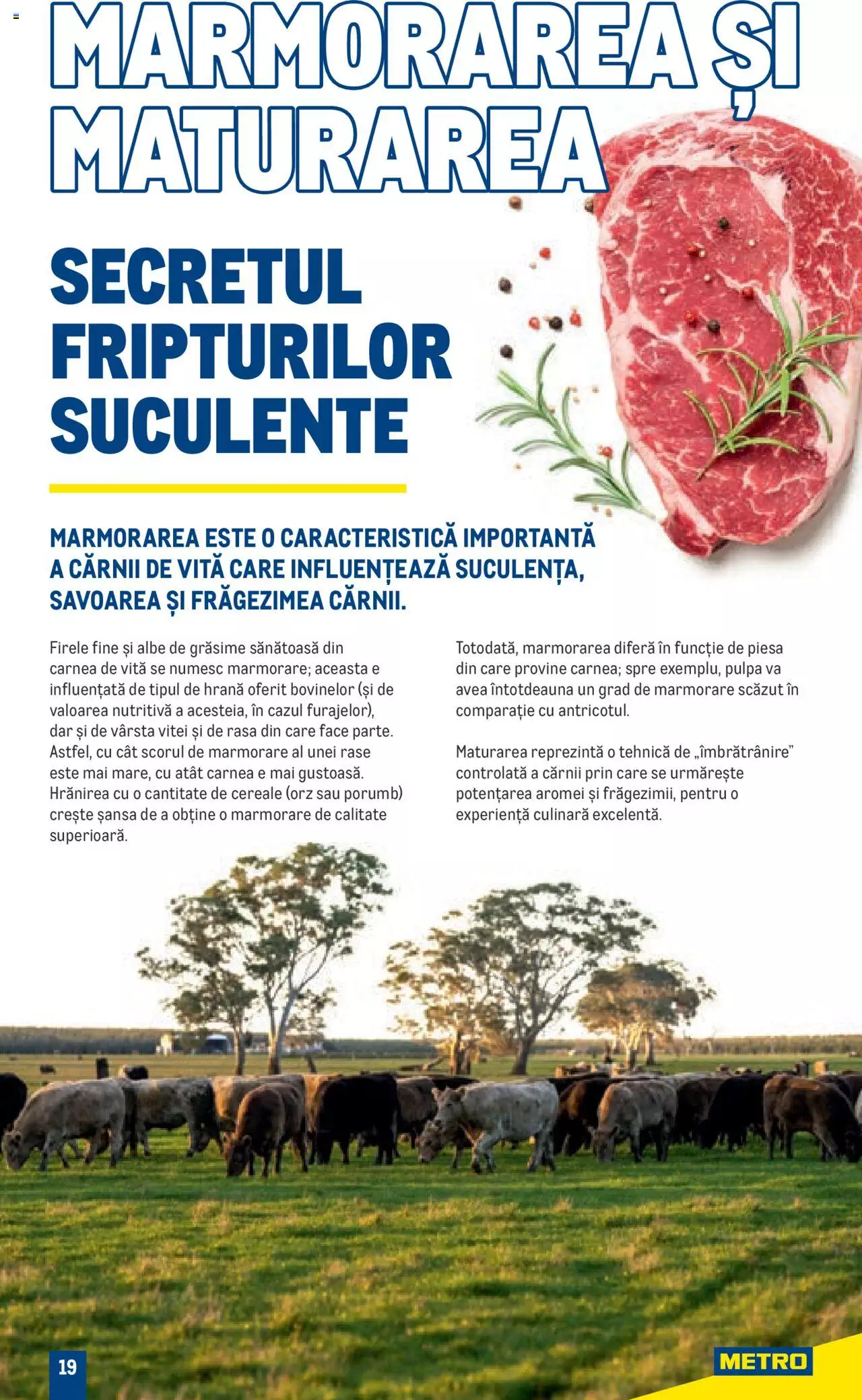 Catalog METRO 1 August - 31 Decembrie 2023 | Pagina 19