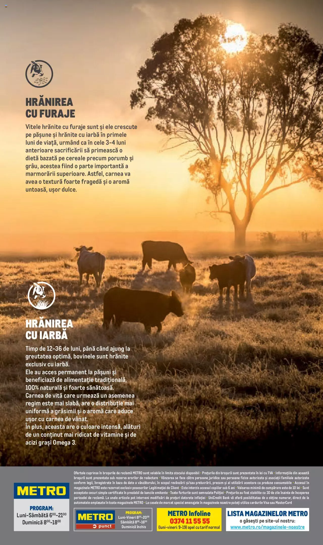 Catalog METRO 1 August - 31 Decembrie 2023 | Pagina 20