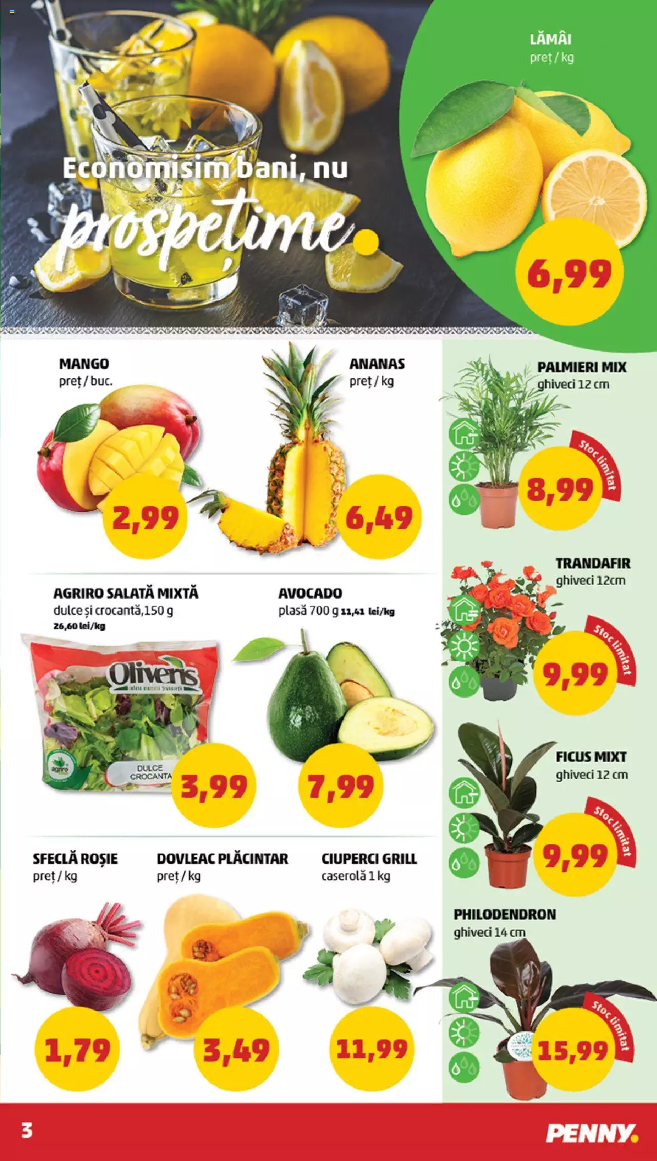 Catalog PENNY Market 23 - 29 August 2023 | Pagina 3
