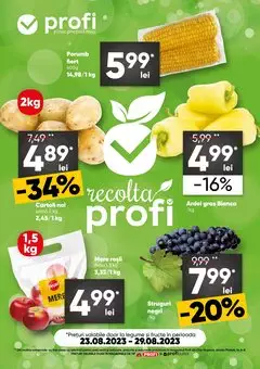 Catalog Profi