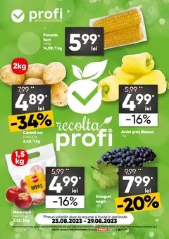 Catalog Profi