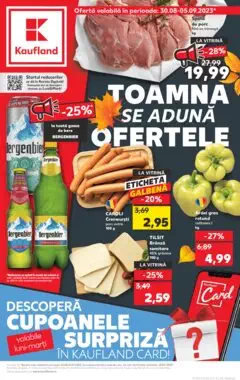 Catalog Kaufland