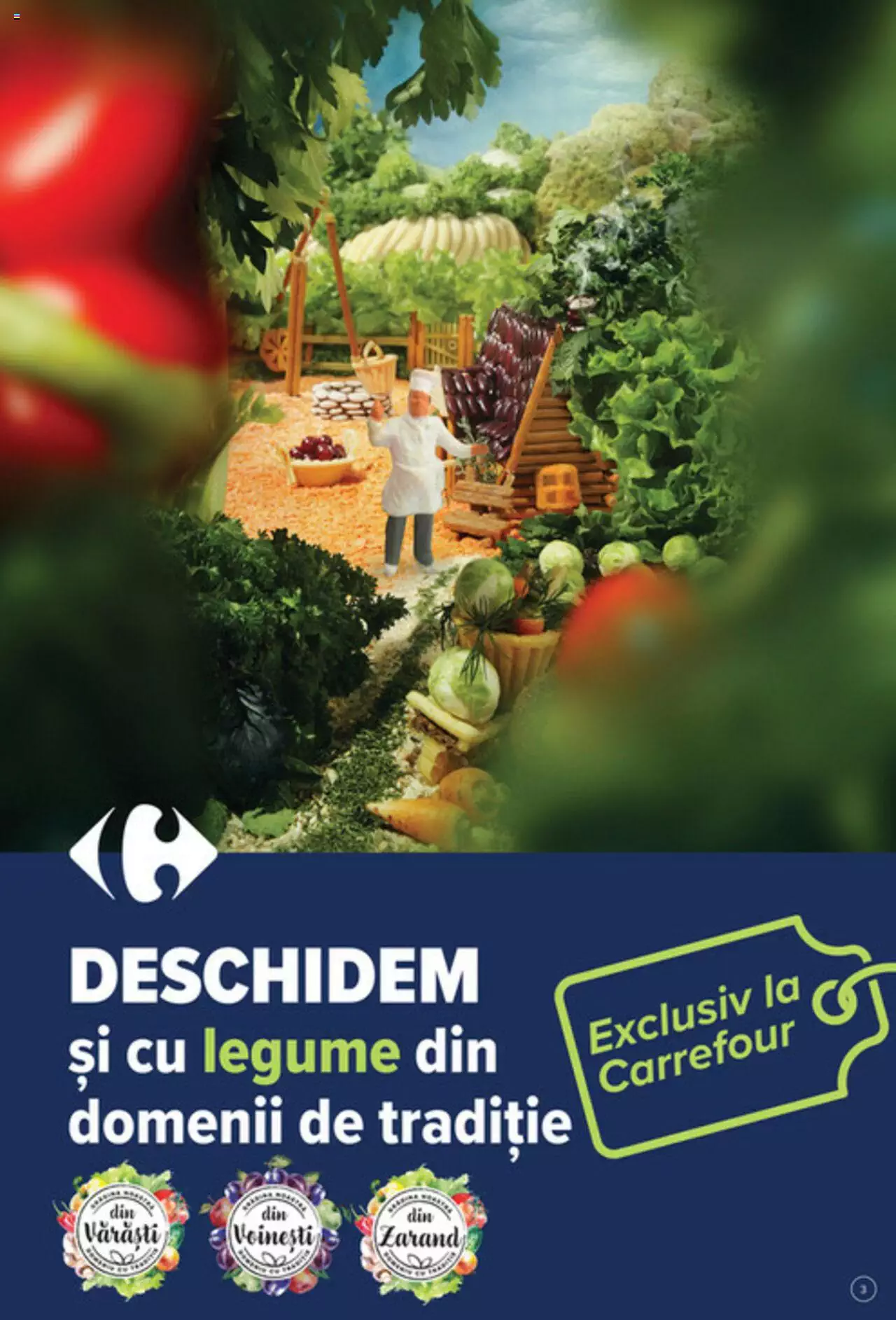 Catalog Carrefour 4 - 12 Septembrie 2023 | Pagina 3