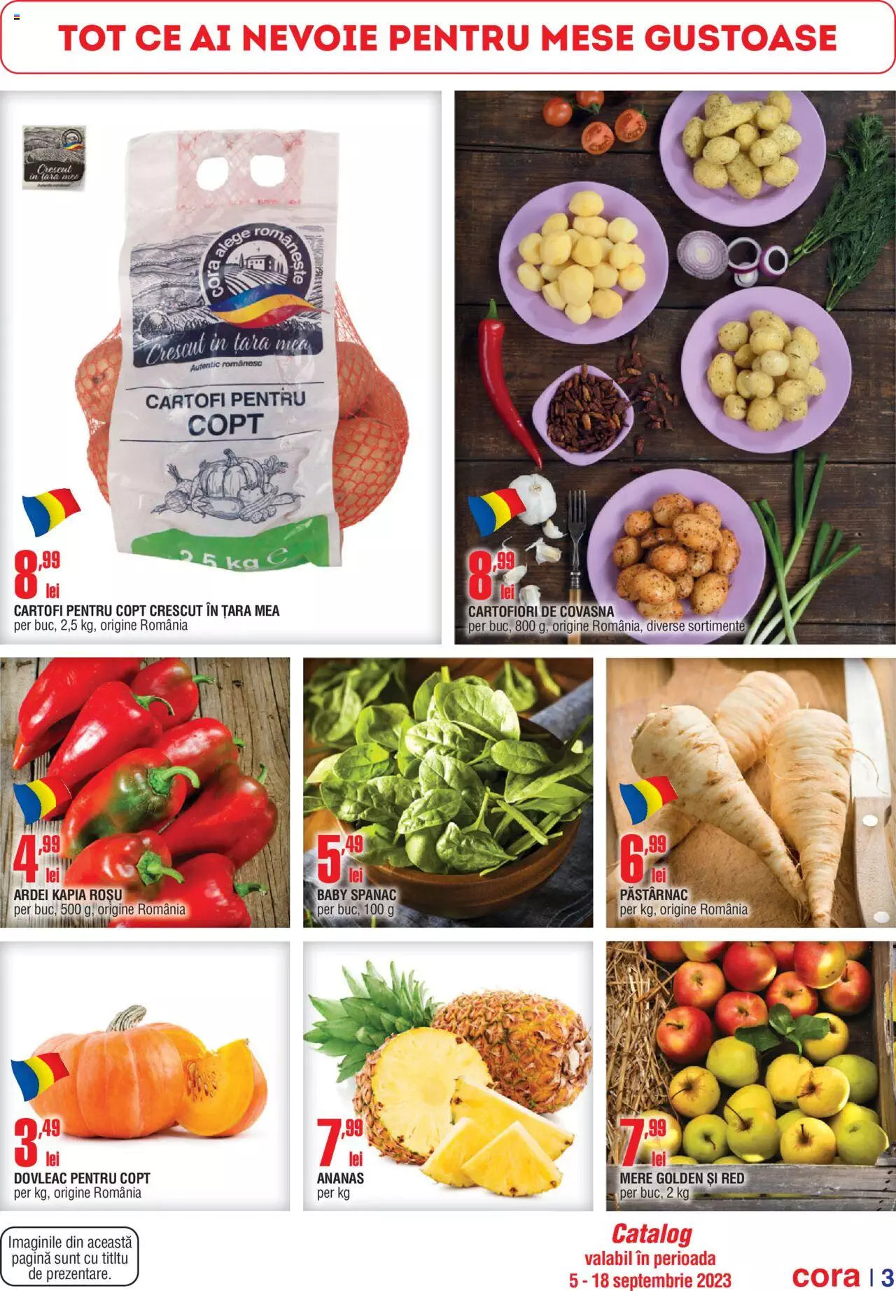 Catalog Cora 5 - 18 Septembrie 2023 | Pagina 3