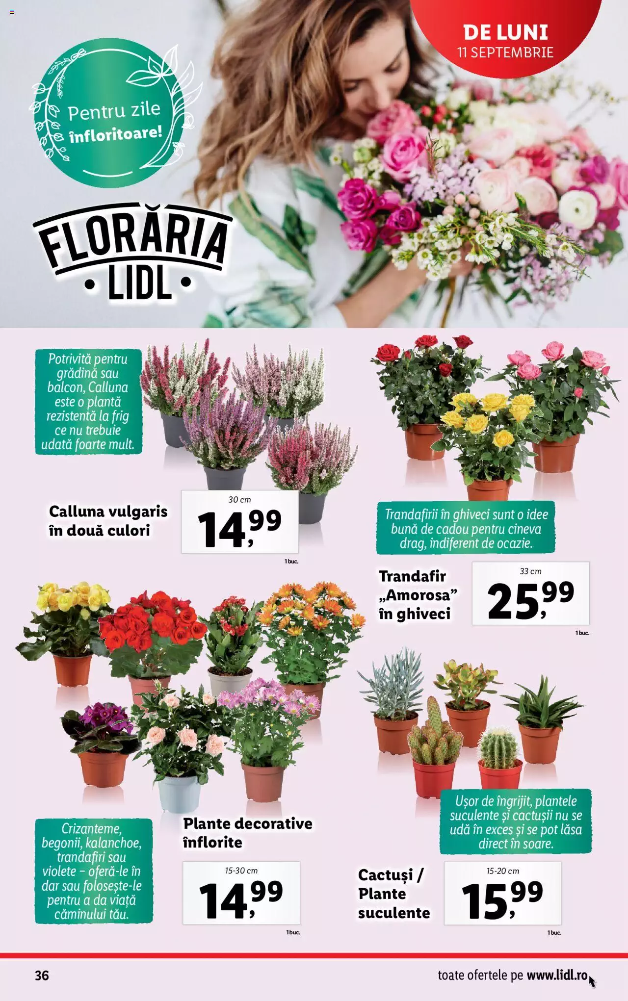 Catalog LIDL 11 - 17 Septembrie 2023 | Pagina 36