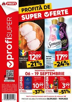 Catalog Profi