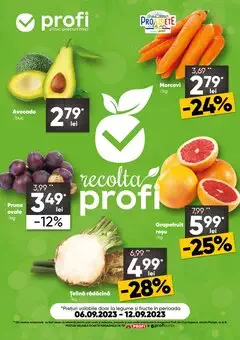 Catalog Profi