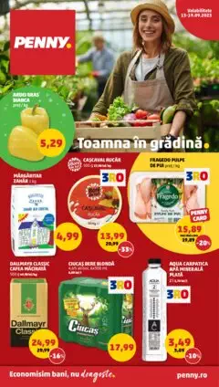 Catalog PENNY Market