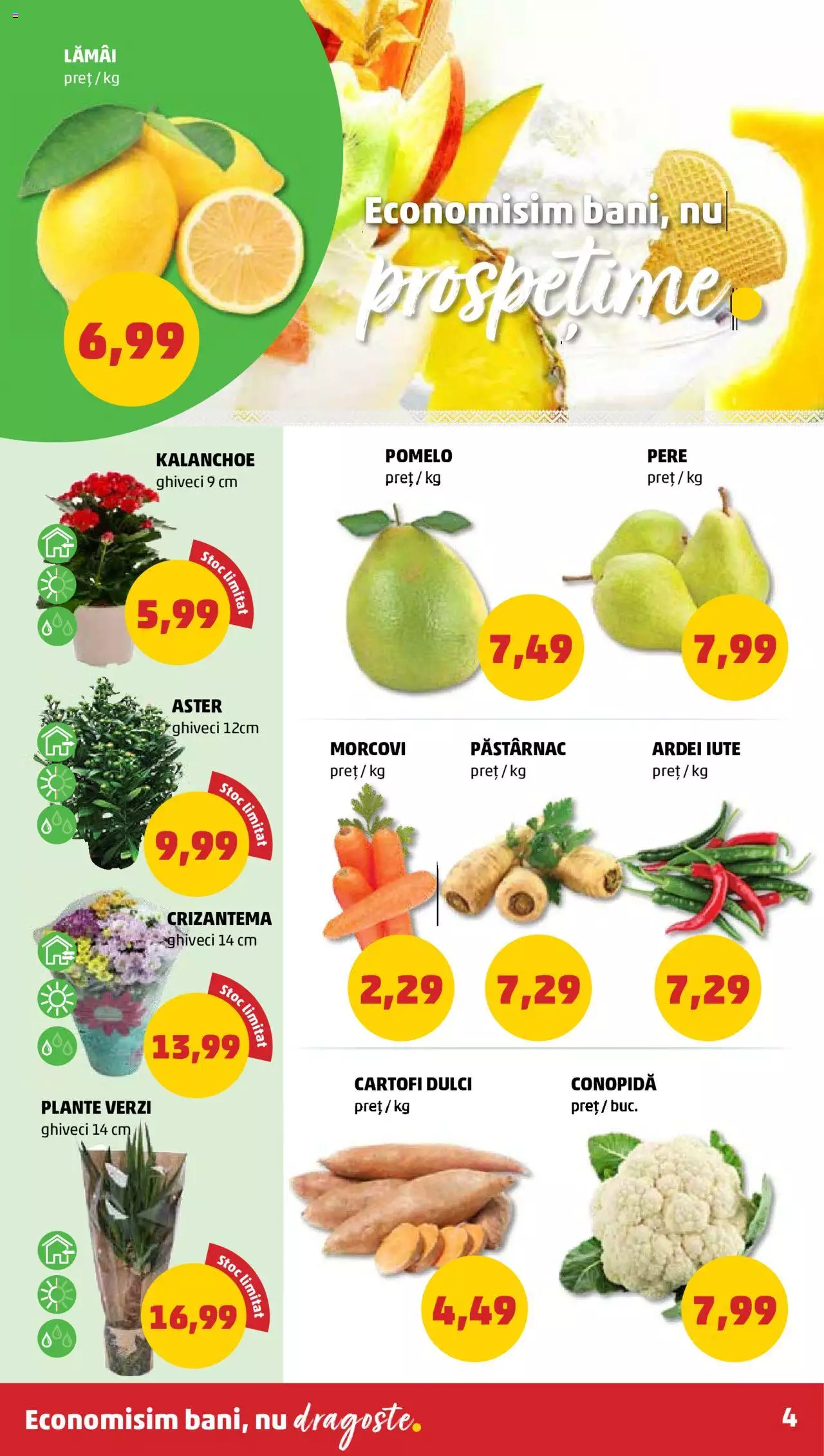 Catalog PENNY Market 13 - 19 Septembrie 2023 | Pagina 4