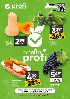 Catalog Profi