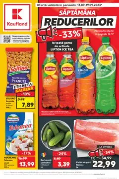Catalog Kaufland