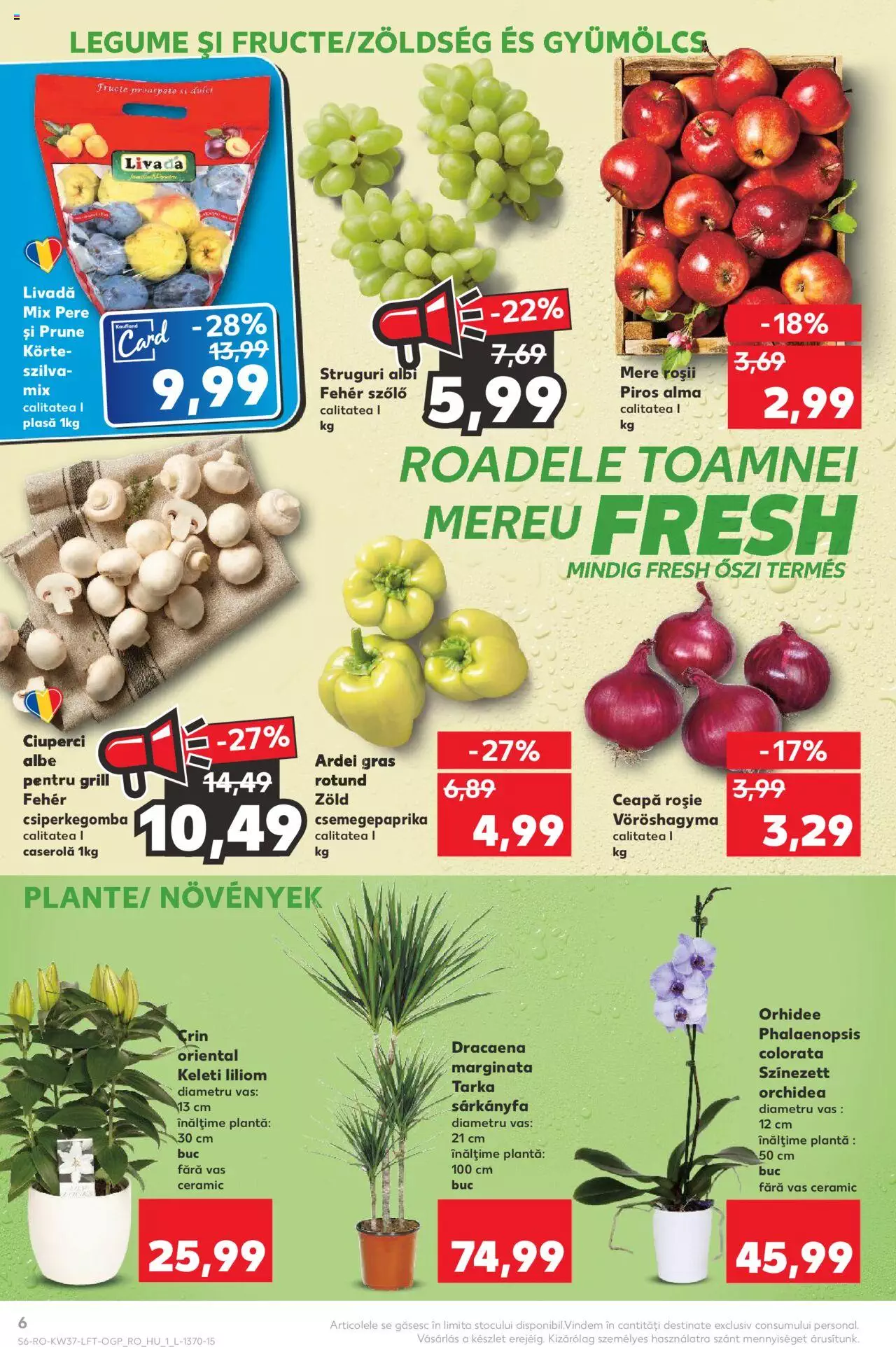 Catalog Kaufland 13 - 19 Septembrie 2023 | Pagina 6