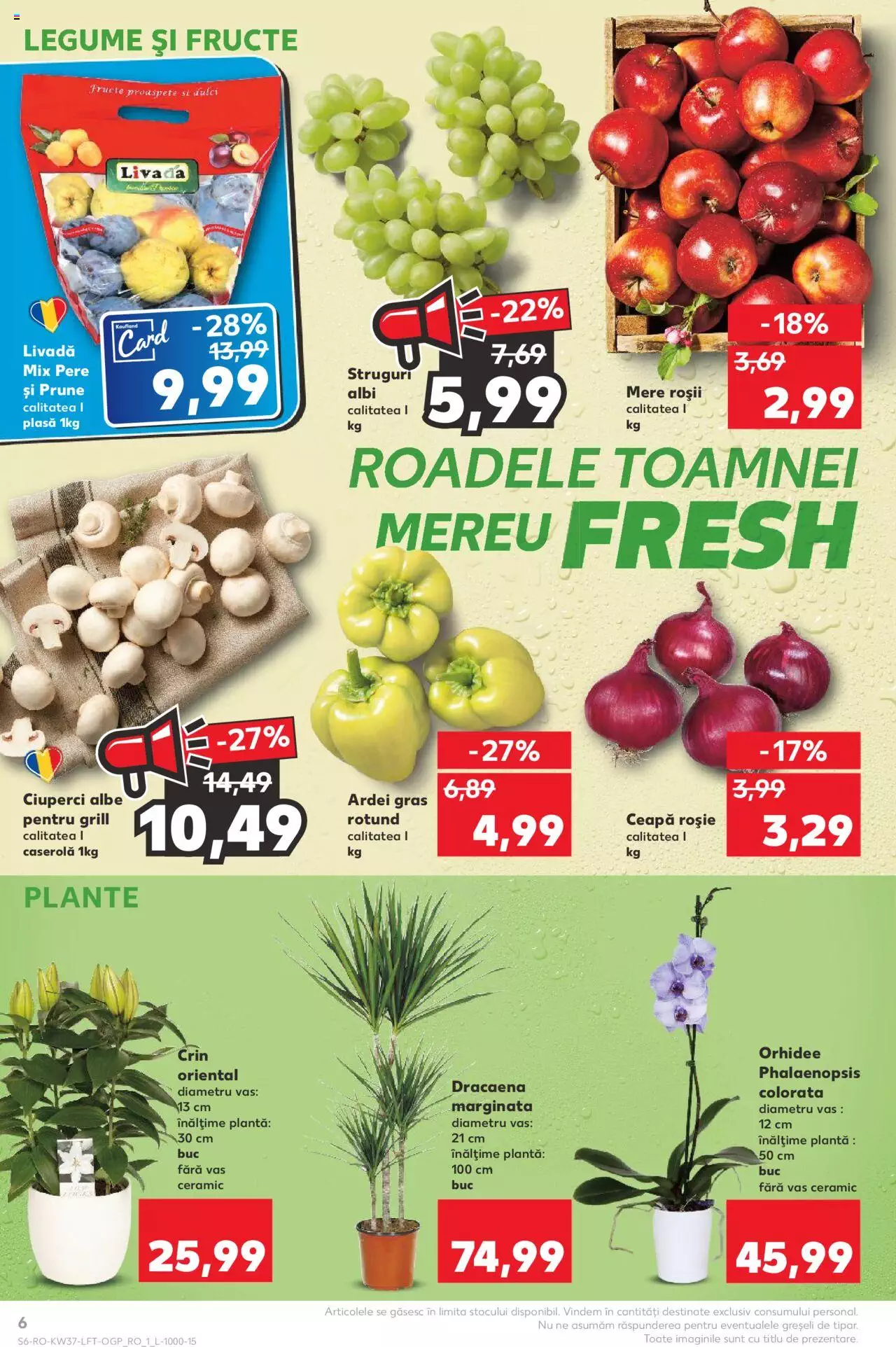 Catalog Kaufland 13 - 19 Septembrie 2023 | Pagina 6