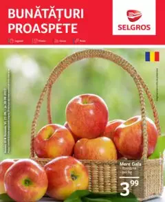Catalog Selgros