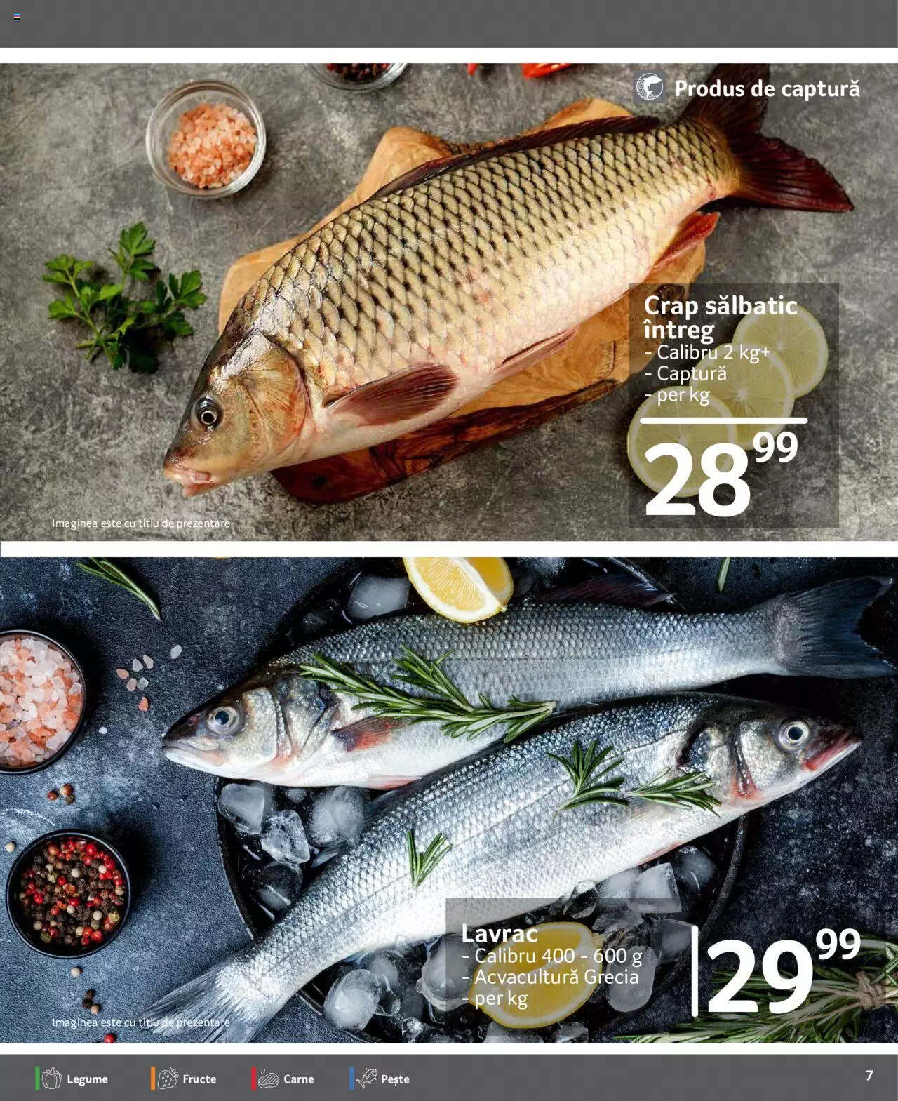 Catalog Selgros 22 - 28 Septembrie 2023 | Pagina 7