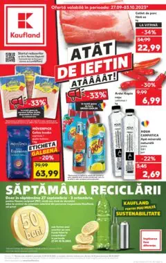 Catalog Kaufland