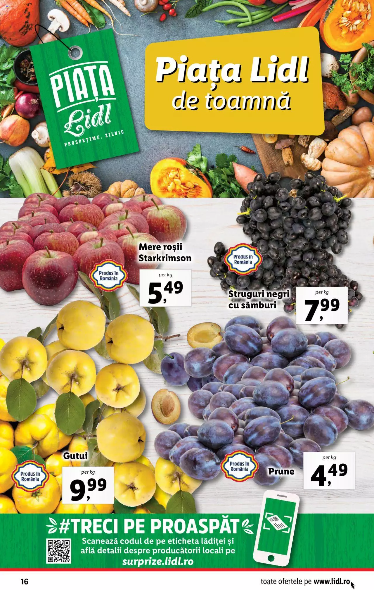 Catalog LIDL 2 - 8 Octombrie 2023 | Pagina 16