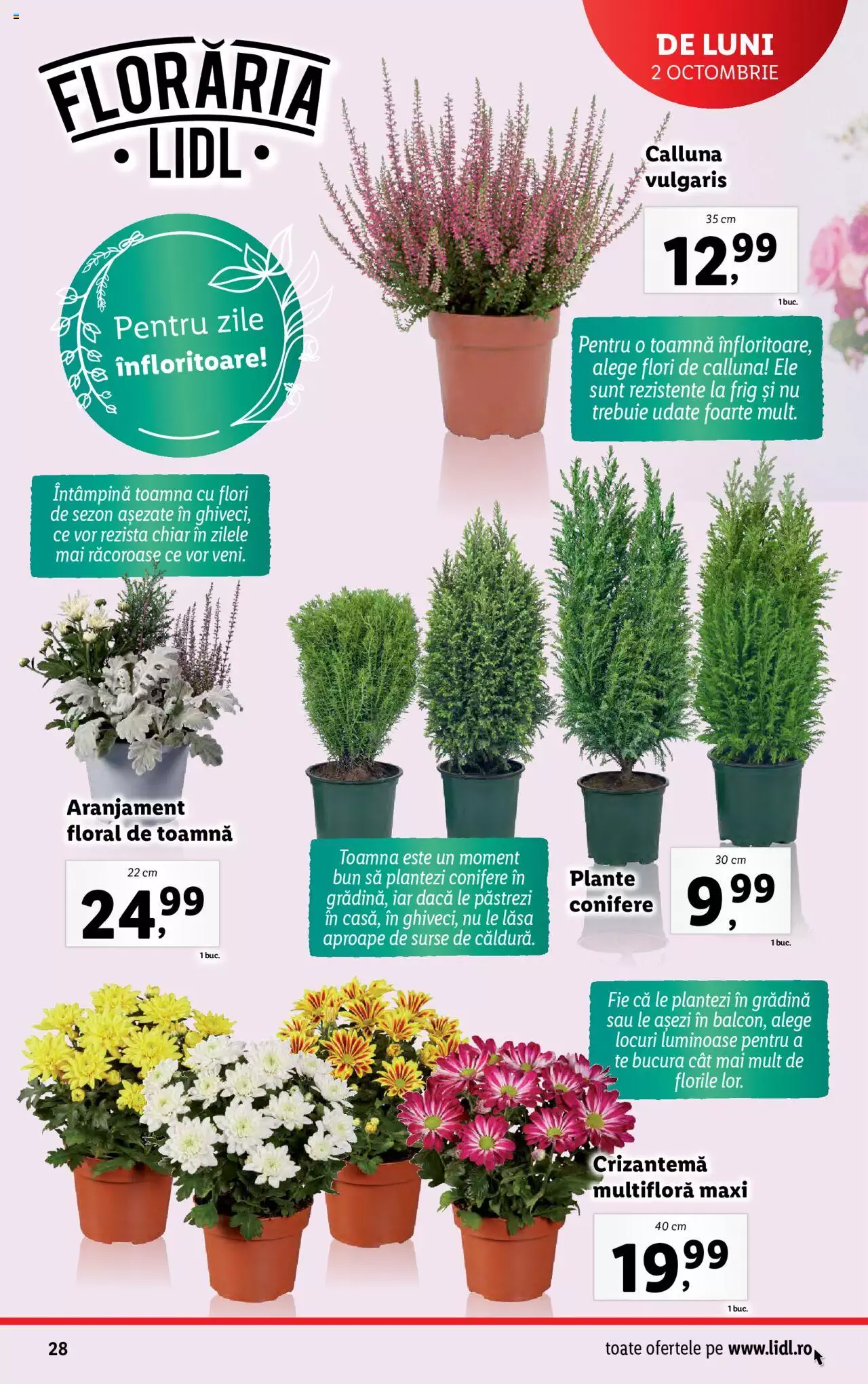 Catalog LIDL 2 - 8 Octombrie 2023 | Pagina 28