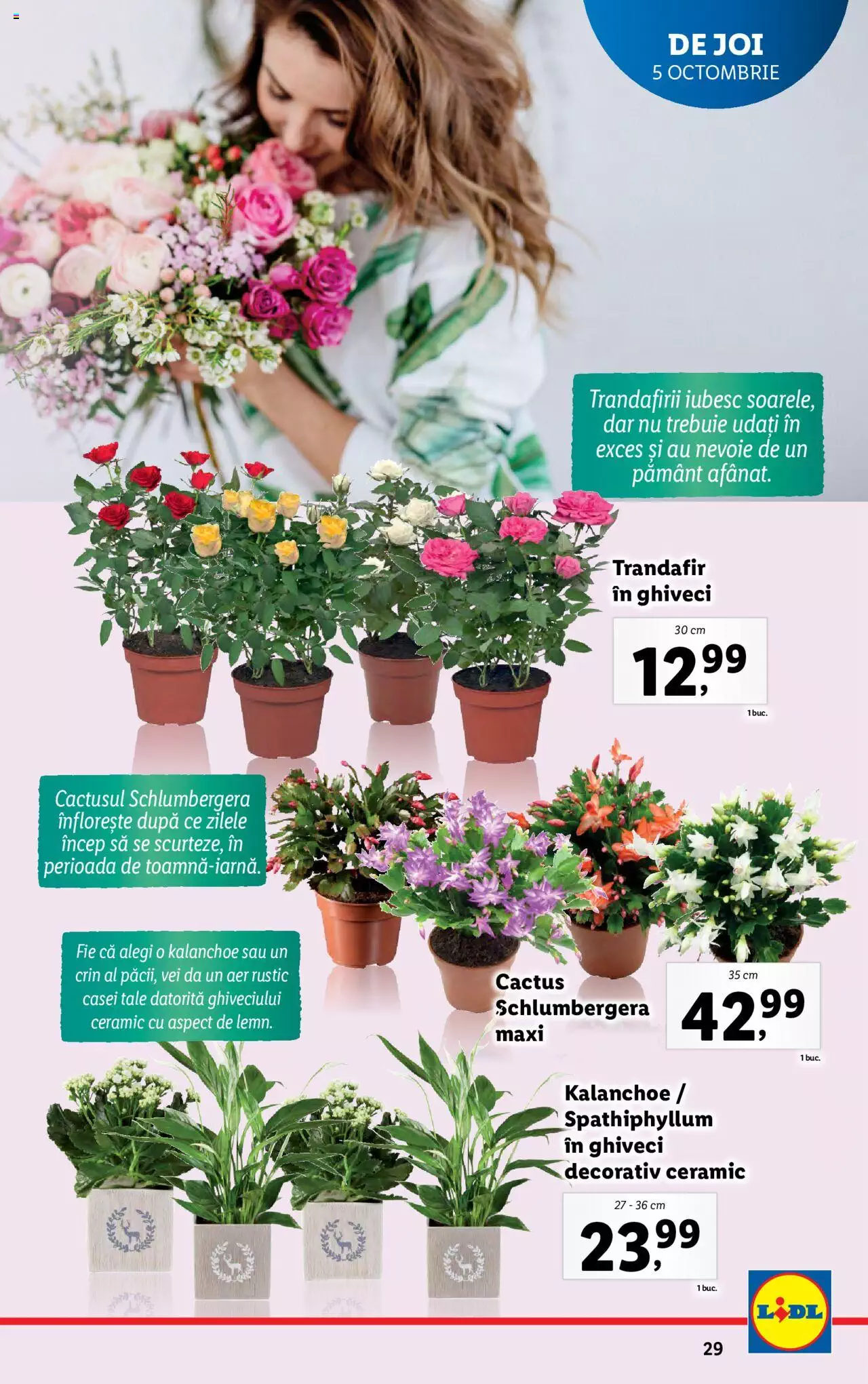 Catalog LIDL 2 - 8 Octombrie 2023 | Pagina 29