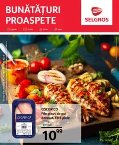 Catalog Selgros