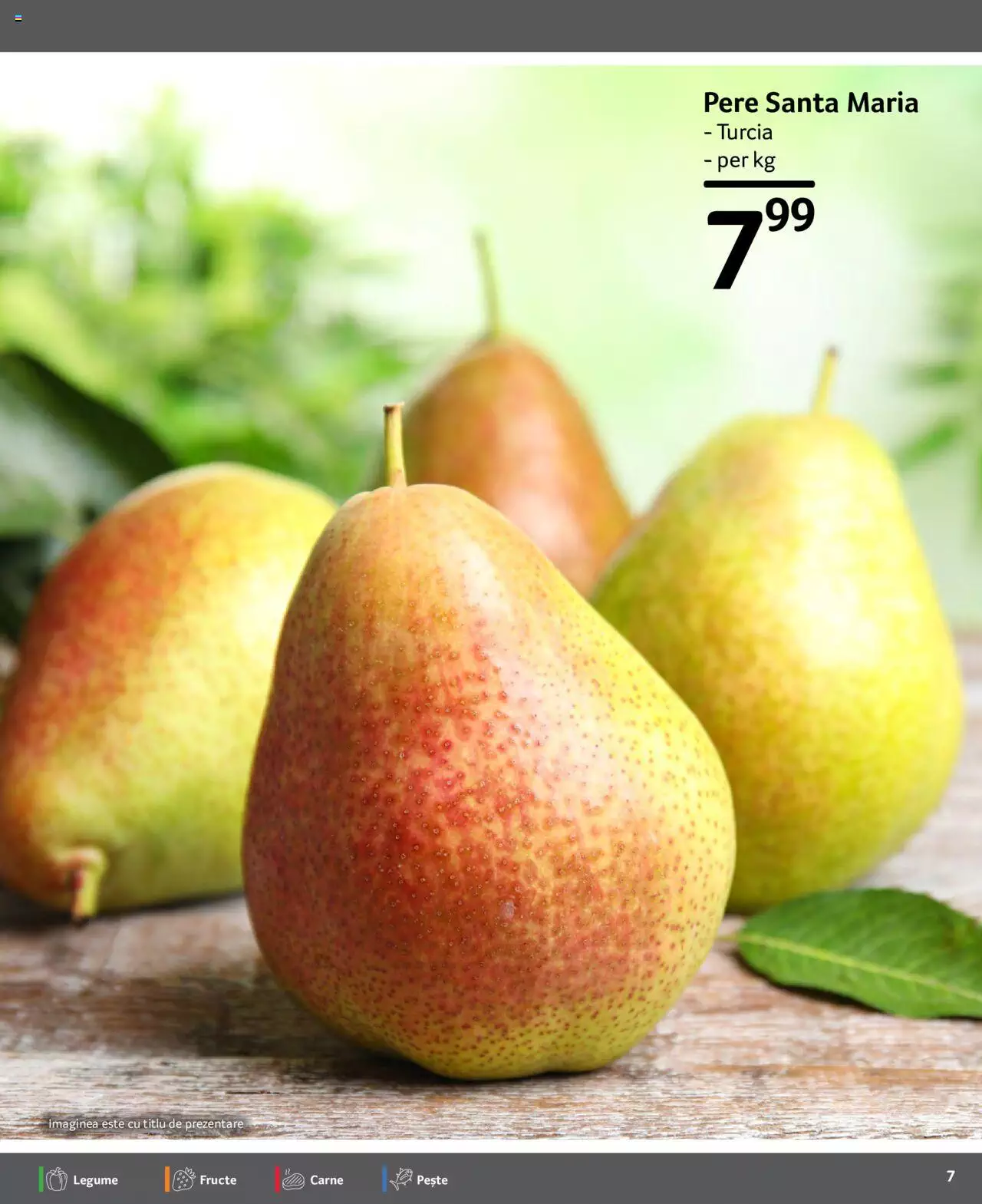 Catalog Selgros 29 Septembrie - 5 Octombrie 2023 | Pagina 7