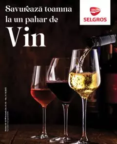Catalog Selgros