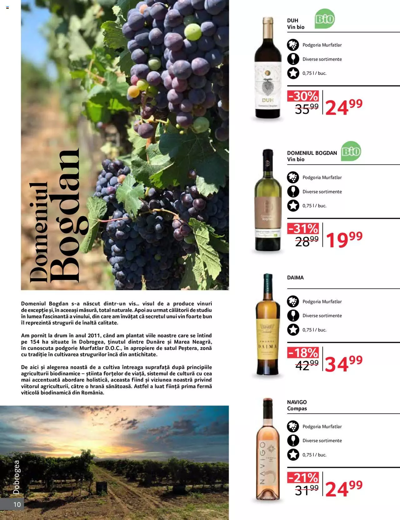 Catalog Selgros 1 - 31 Octombrie 2023 | Pagina 10