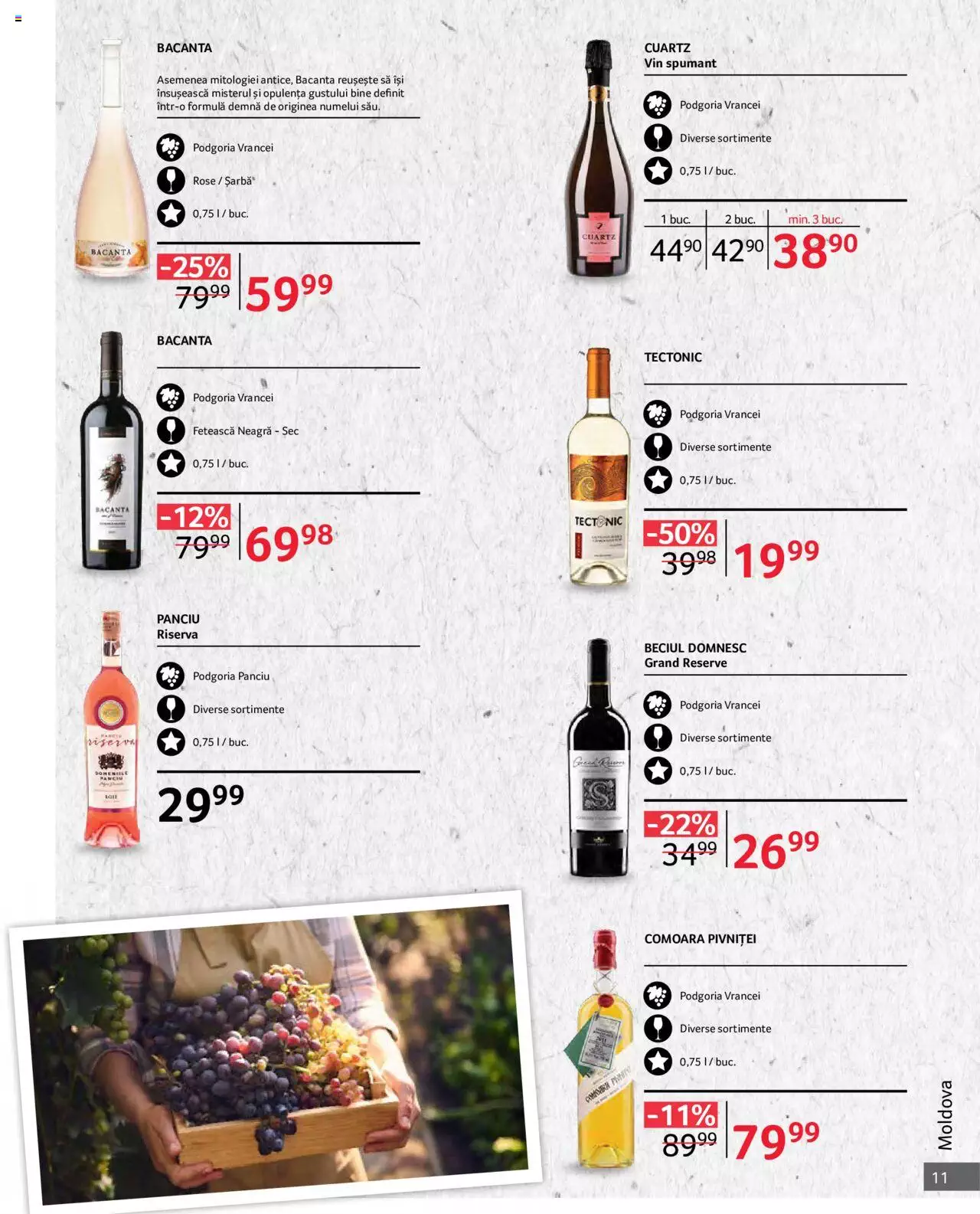 Catalog Selgros 1 - 31 Octombrie 2023 | Pagina 11