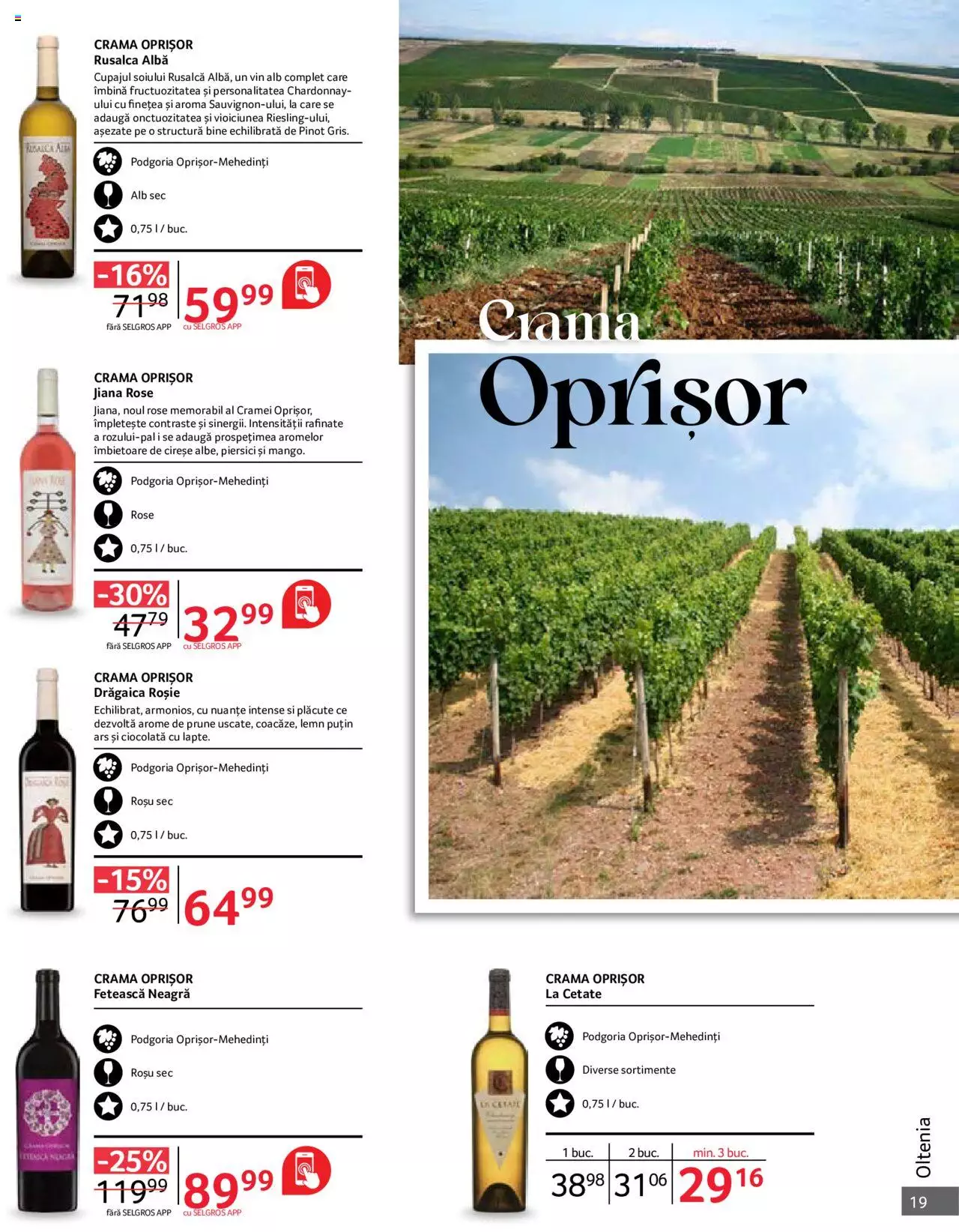 Catalog Selgros 1 - 31 Octombrie 2023 | Pagina 19