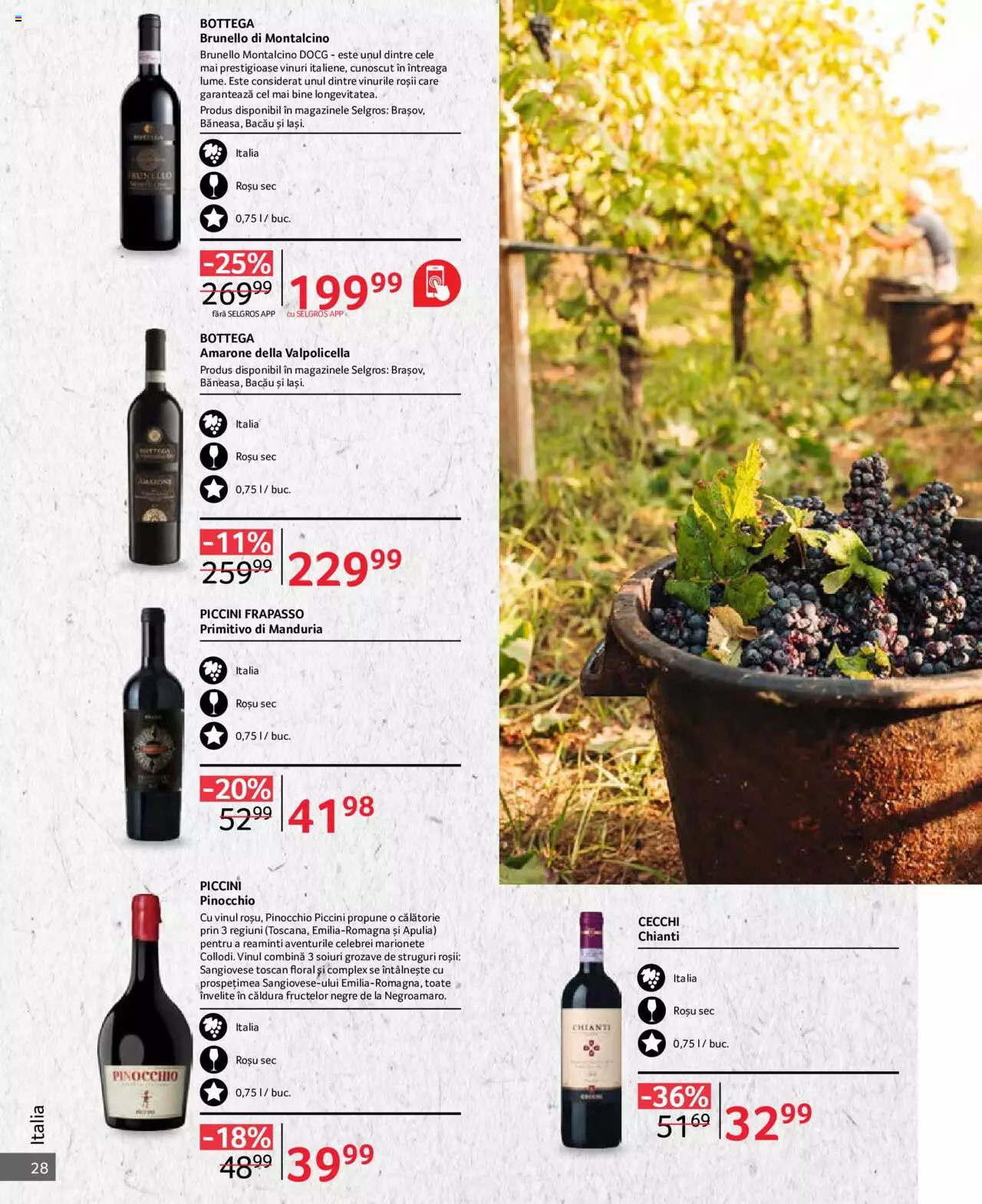 Catalog Selgros 1 - 31 Octombrie 2023 | Pagina 28