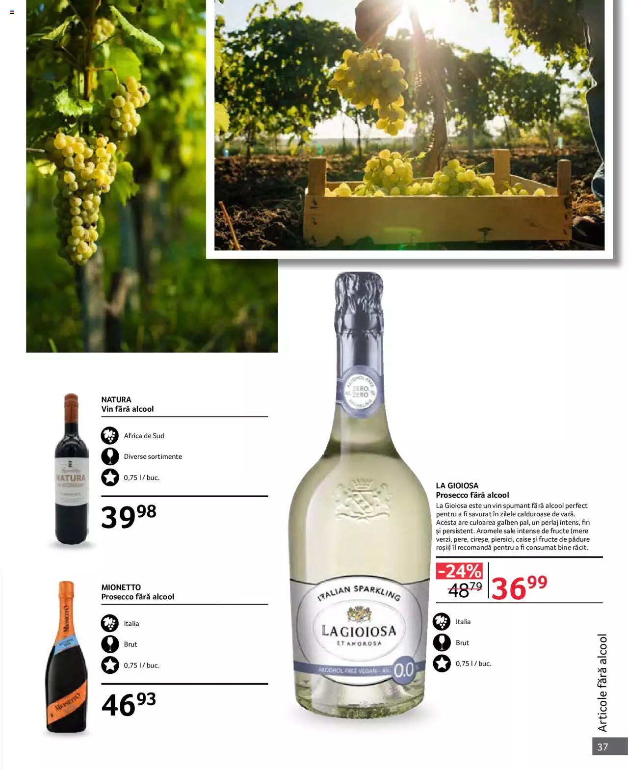 Catalog Selgros 1 - 31 Octombrie 2023 | Pagina 37