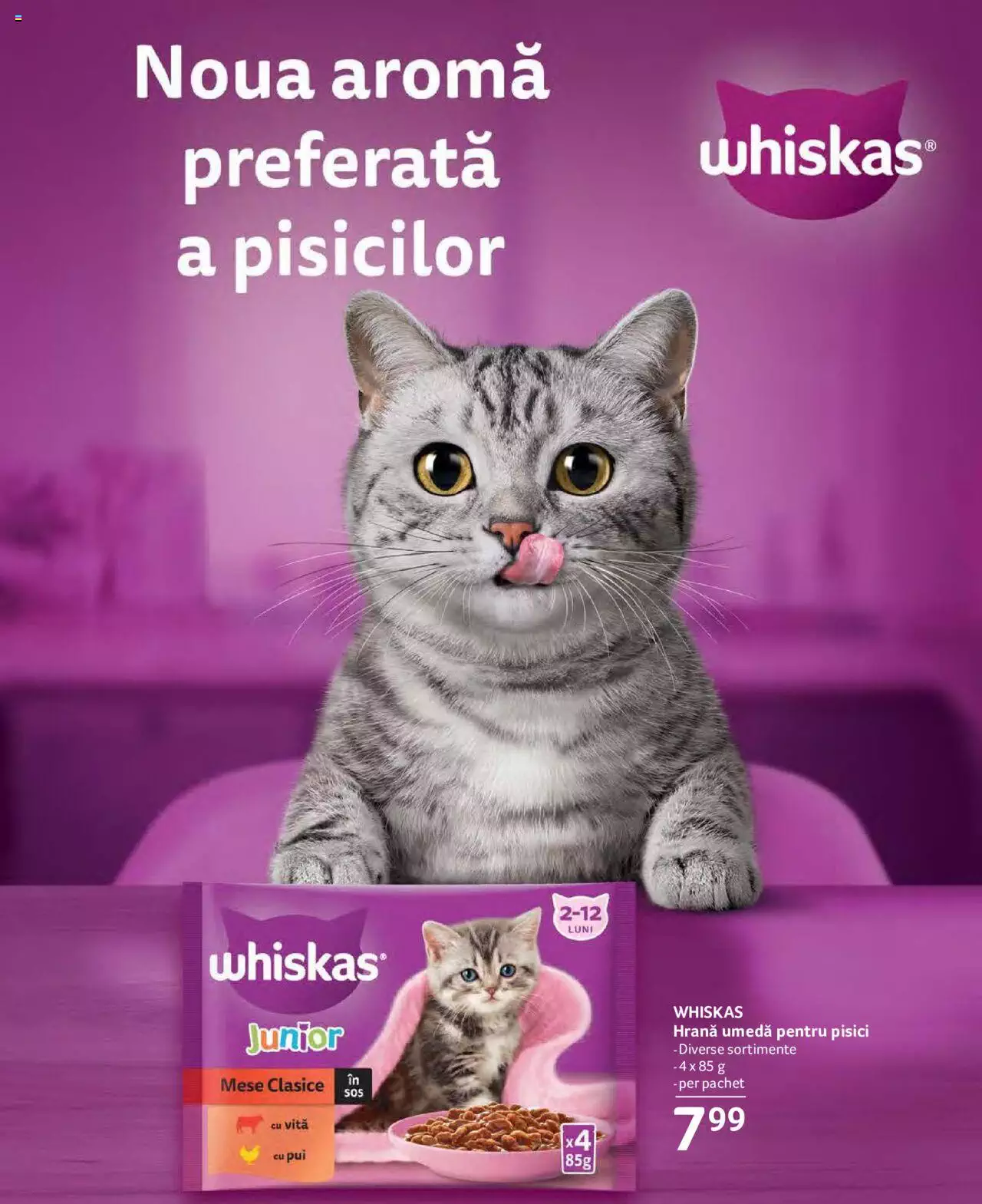 Catalog Selgros 29 Septembrie - 12 Octombrie 2023 | Pagina 31