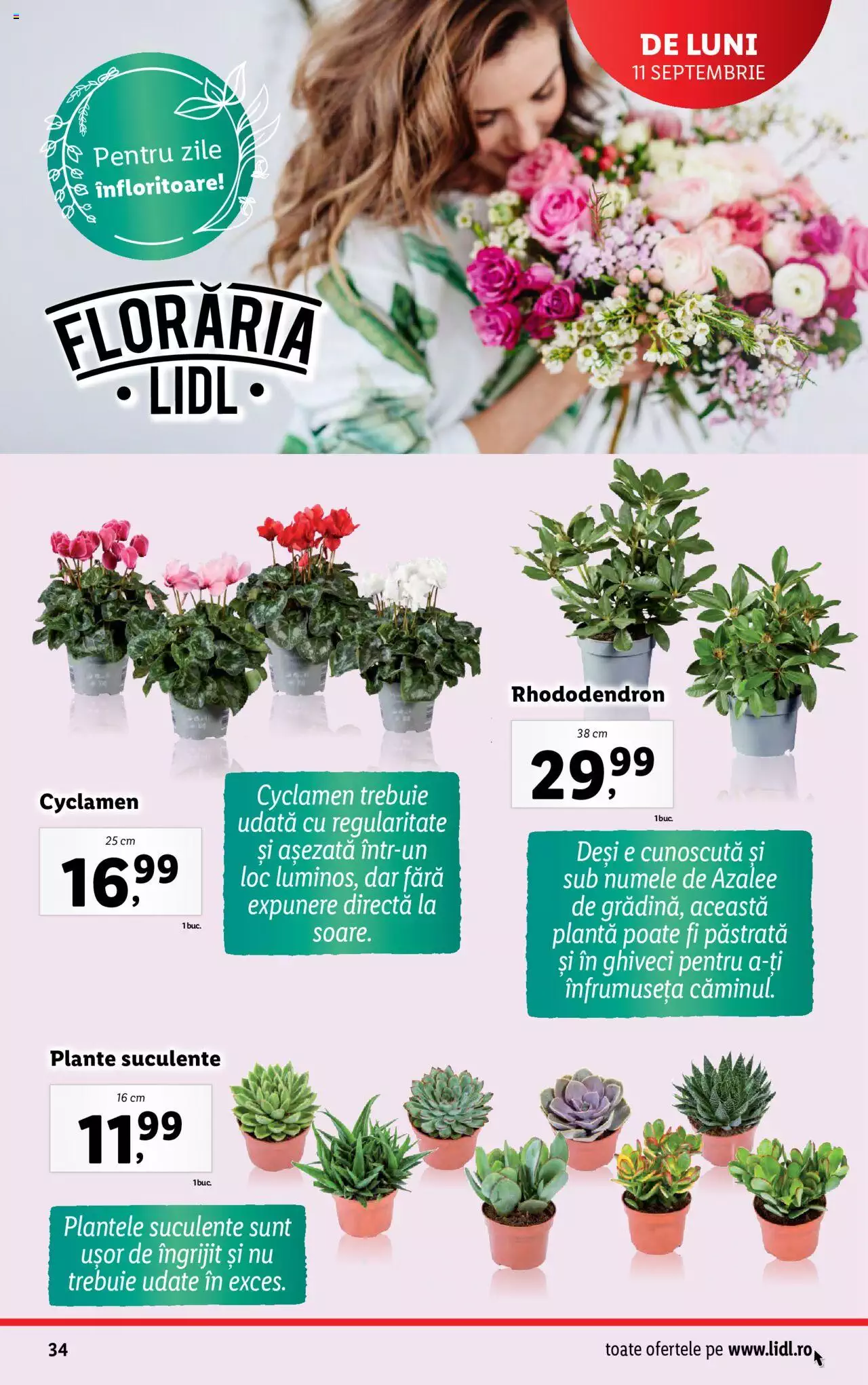 Catalog LIDL 9 - 15 Octombrie 2023 | Pagina 34
