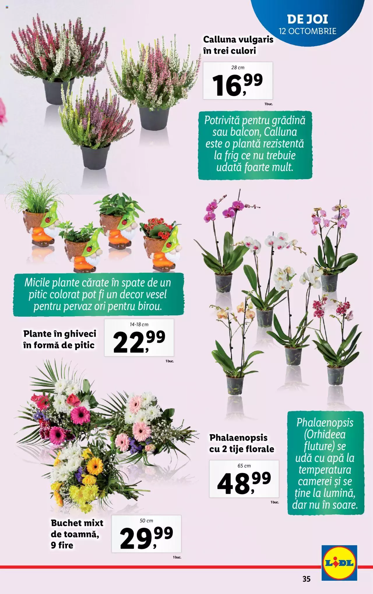 Catalog LIDL 9 - 15 Octombrie 2023 | Pagina 35