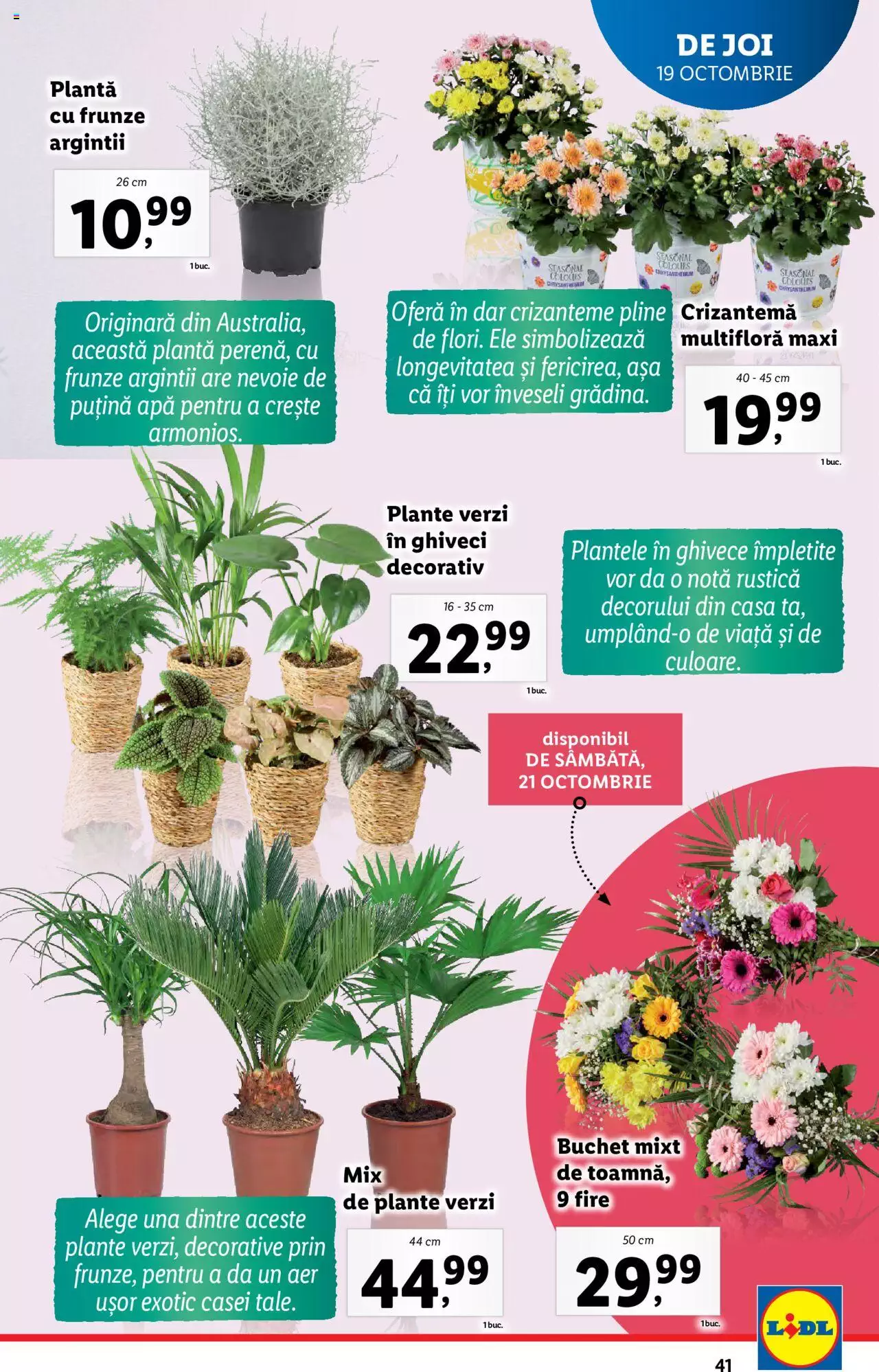 Catalog LIDL 16 - 22 Octombrie 2023 | Pagina 41