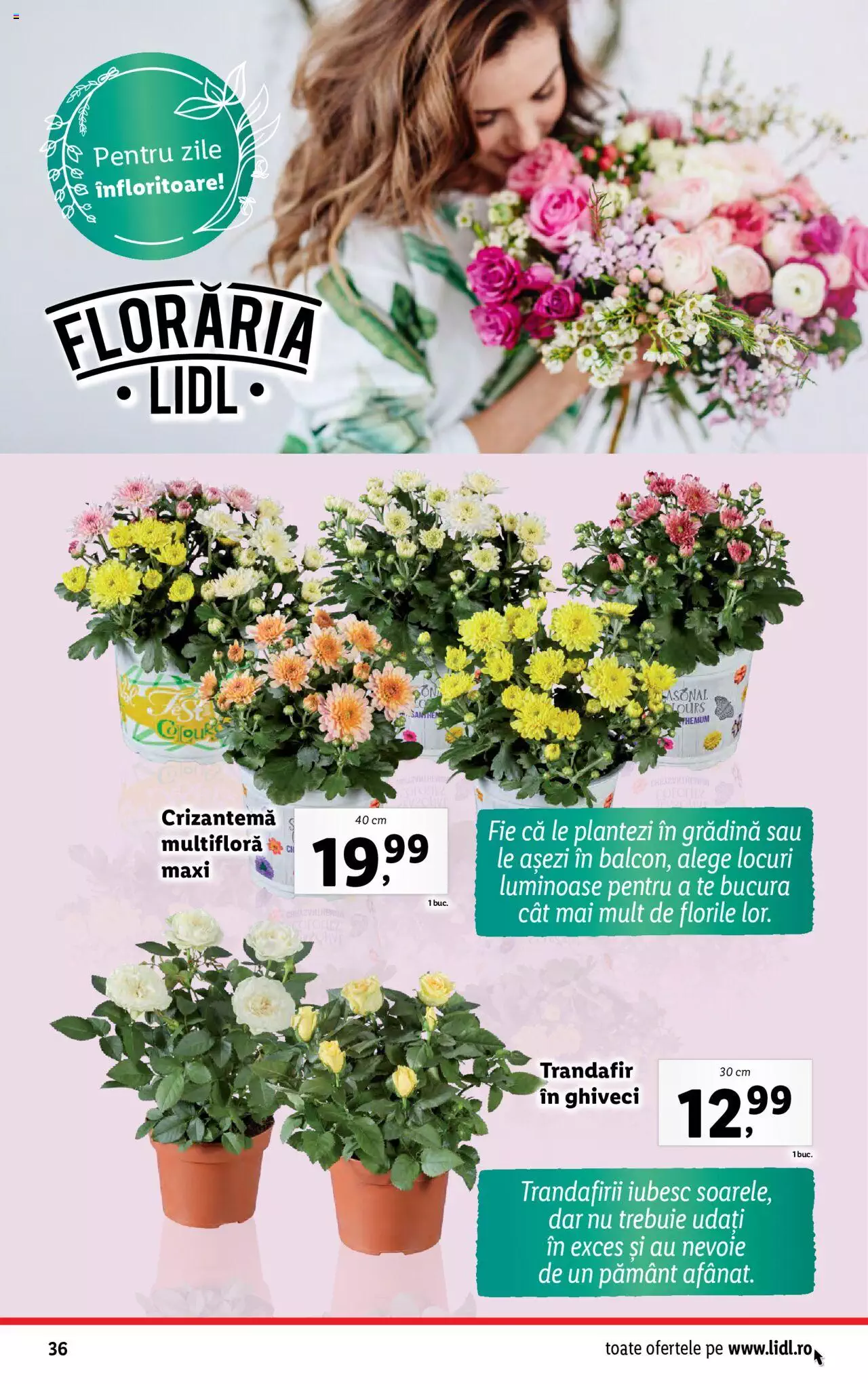 Catalog LIDL 23 - 29 Octombrie 2023 | Pagina 36